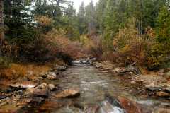 20070929FallColor6630