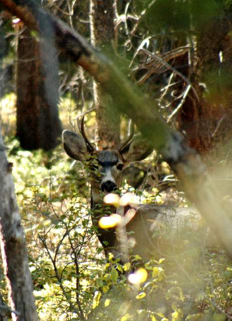 20070927FallColor5870