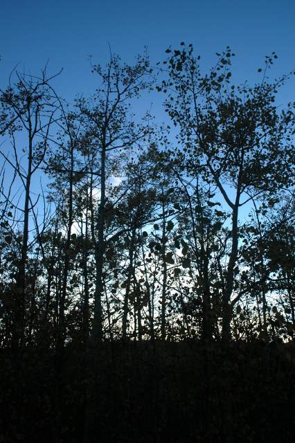 20070927FallColor6129