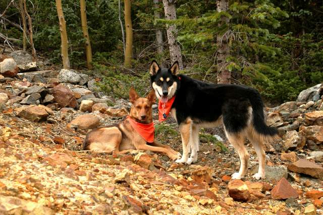 20070928Fallcolor6471