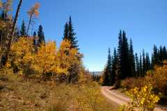 20070927FallColor5707