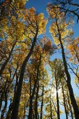 20070927FallColor5733