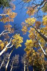 20070927FallColor5793