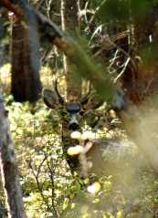 20070927FallColor5870