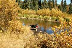 20070927FallColor5967