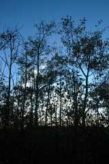 20070927FallColor6129