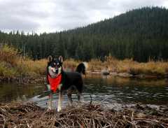 20070928Fallcolor6350