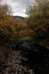 20070928Fallcolor6367