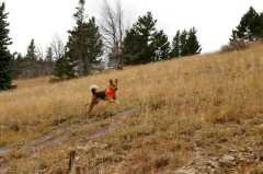 20070928Fallcolor6494