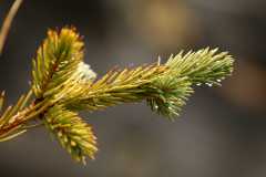 20070929FallColor6668