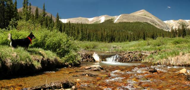 007-20060625Campingpano2