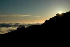 010-20060515MtTam9515