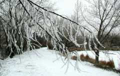 011-Ice006