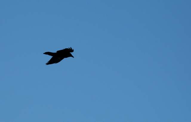 20080317Zion0041