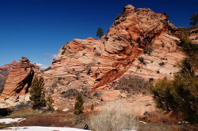 20080317Zion0090