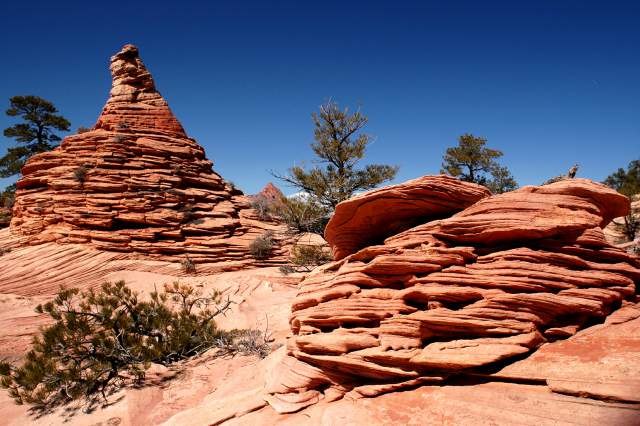 20080317Zion0246