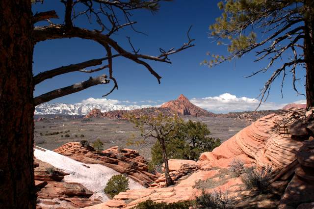 20080317Zion0274
