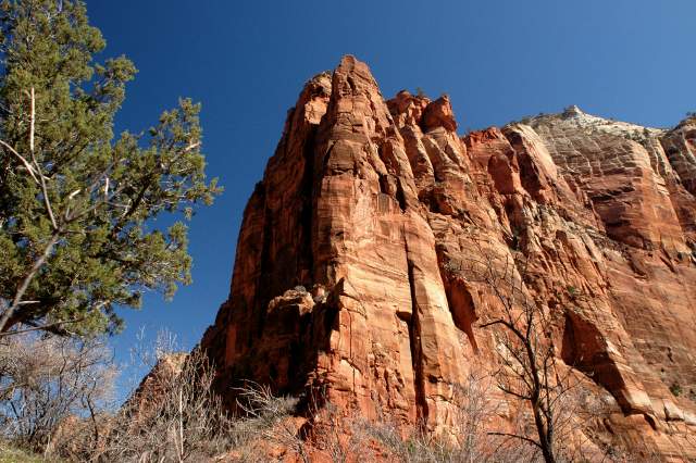 20080318Zion1156