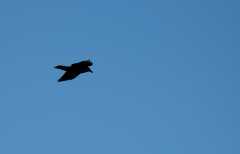 20080317Zion0041