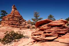 20080317Zion0246