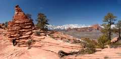 20080317Zion0250-52