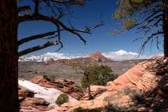 20080317Zion0274