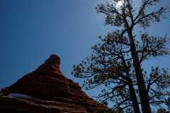 20080317Zion0321