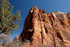 20080318Zion1156