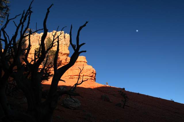 20080318RedCanyon1532