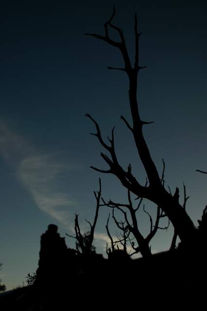 20080318RedCanyon1657