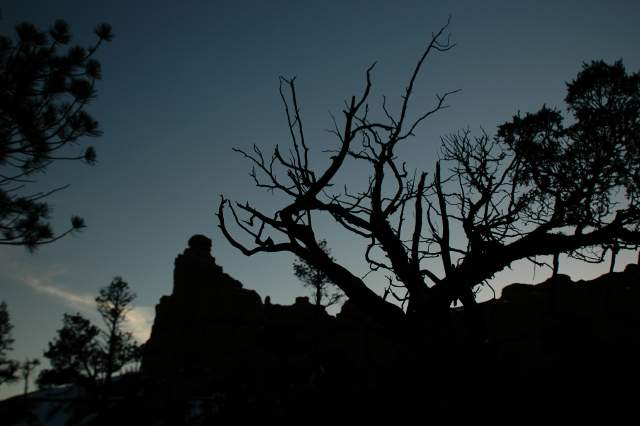 20080318RedCanyon1658