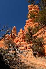 20080318RedCanyon1295