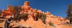 20080318RedCanyon1399-1401