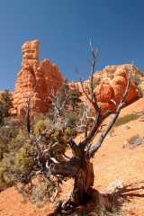 20080318RedCanyon1404