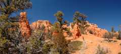 20080318RedCanyon1409-11
