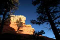 20080318RedCanyon1529