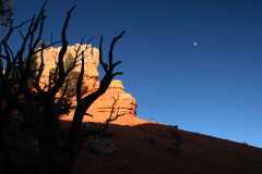 20080318RedCanyon1532
