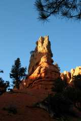 20080318RedCanyon1617