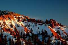 20080318RedCanyon1643