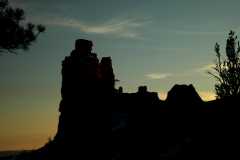 20080318RedCanyon1644