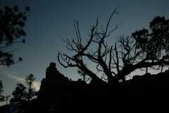 20080318RedCanyon1658