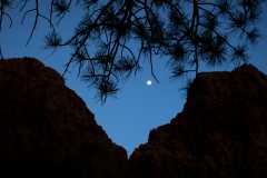 20080318RedCanyon1716