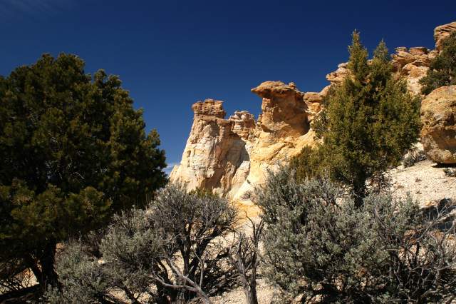 20080320GrosvenorArch2435