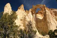 20080320GrosvenorArch2377