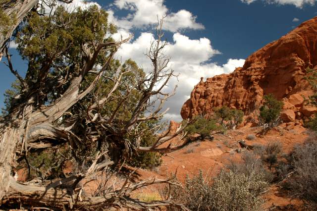 20080320KodachromeBasin2532