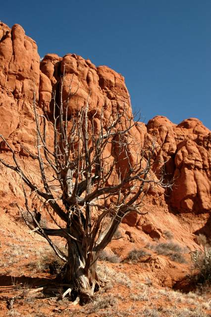 20080320KodachromeBasin2563