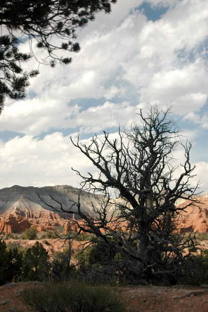 20080320KodachromeBasin2594