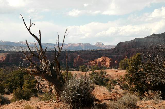 20080320KodachromeBasin2608