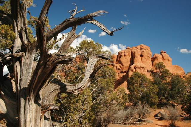 20080320KodachromeBasin2621