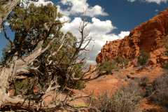 20080320KodachromeBasin2532